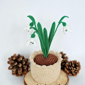 Vaso di bucaneve all'uncinetto: decorazione invernale in cotone fatta a mano.