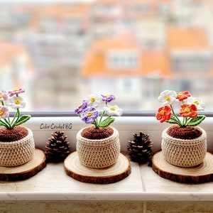 Handgemachter gehäkelter Blumentopf: Ewiges Geschenk für die Dekoration