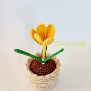 Handgemachte Blume Krokus häkeln in einem Topf, verschiedene Farben für Wohnkultur, Geschenk, Muttertagsstrauß.  Frauen Geschenk. Frühlingsblume
