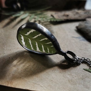 Fern Necklace, Cottage core Jewelry, Real Plant Jewelry, Pressed Flower, Forest Woodland Jewelry, Fern Necklace, Real Fern image 1