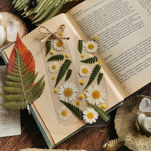 Könnte beinhalten: Zwei transparente Lesezeichen mit gepressten weißen Gänseblümchen und grünen Farnblättern. Die Lesezeichen liegen auf einem Buch mit Text in einer Fremdsprache.