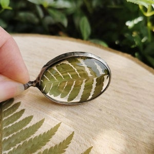 Collier de fougère, bijoux de base de chalet, bijoux de plantes réelles, fleur pressée, bijoux forestiers, collier de fougère, vraie fougère, bijoux de terrarium