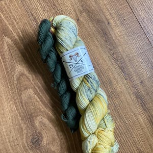 Farmers Daughter Fibers - 2023 Sock Squad Destash - April