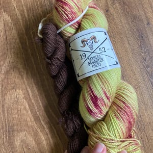 Farmers Daughter Fibers - 2023 Sock Squad Destash - June