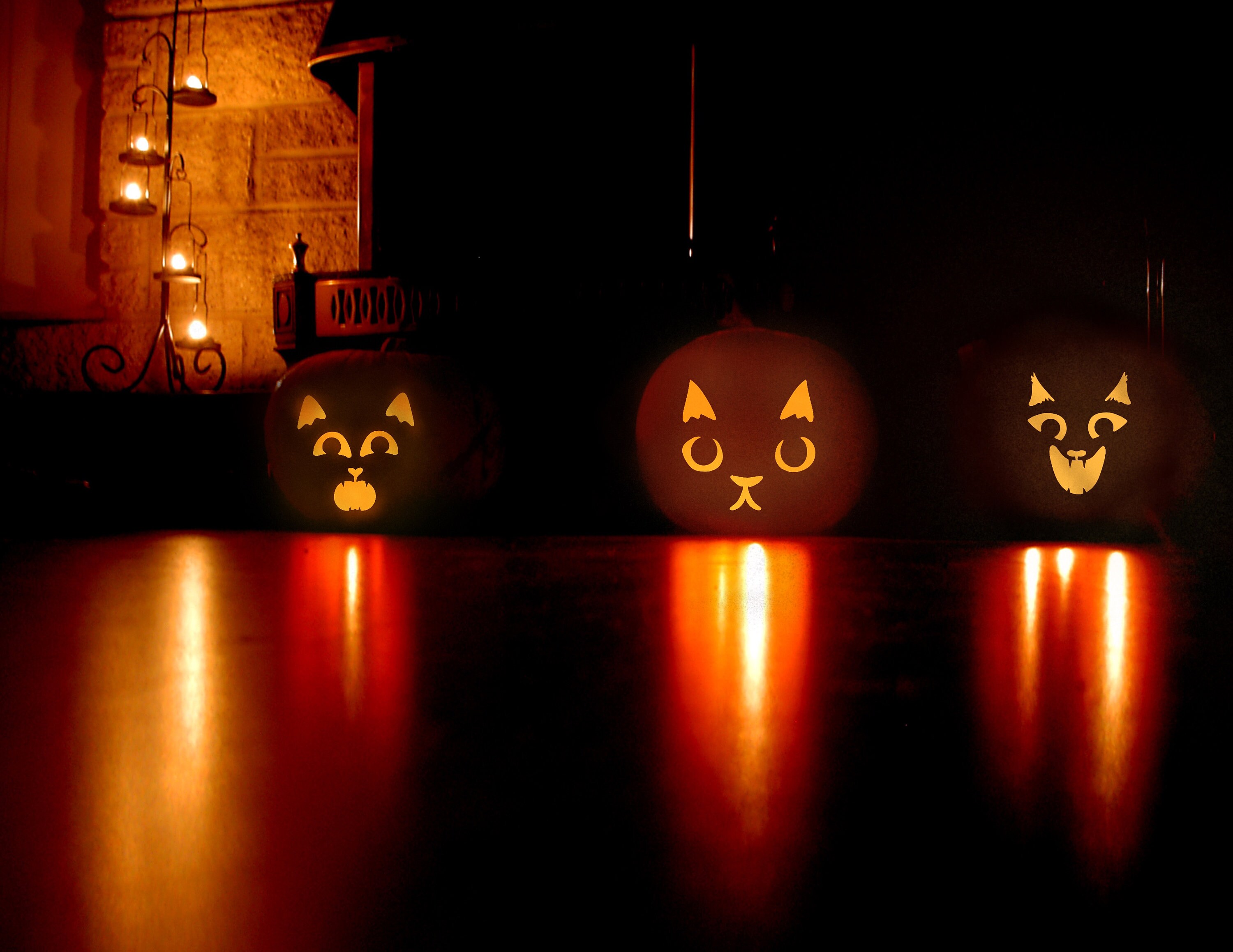 cat-pumpkin-stencils-etsy
