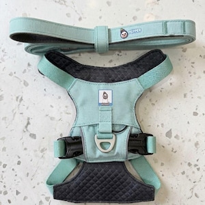 May include: A teal dog harness and matching leash set. The harness features a quilted dark gray chest and belly panel, with teal straps and black buckles. The leash and harness both have the word "PEPPER" printed on them, along with a small cartoon graphic.