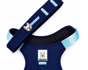 FuzzPups Custom Oxford Dog Harness and 1.5m Leash Set | Personalized Name & Pattern | Multiple Colors