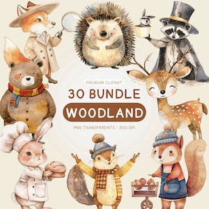 Woodland animals watercolor bundle clipart, Cute Forest Animals PNG , Fox, Bear, Raccoon, Rabbit, Squirrel, Deer, Owl, Hedgehog,Turtle,Snake