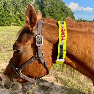 EMBROIDERED - High Visibility Horse Identification Collar  (Reflective and/or Glow in Dark)  ** READ Item Description for Sizing and Fit **