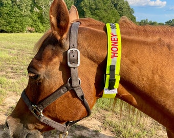 EMBROIDERED - High Visibility Horse Identification Collar  (Reflective & Glow in Dark)  ** READ Item Description for Sizing and Fit **