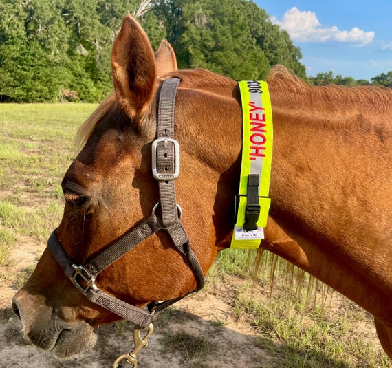 BESTICKT - High Viz/Reflektierender Kper - Pferde Halsband zum erkennen -  Etsy.de