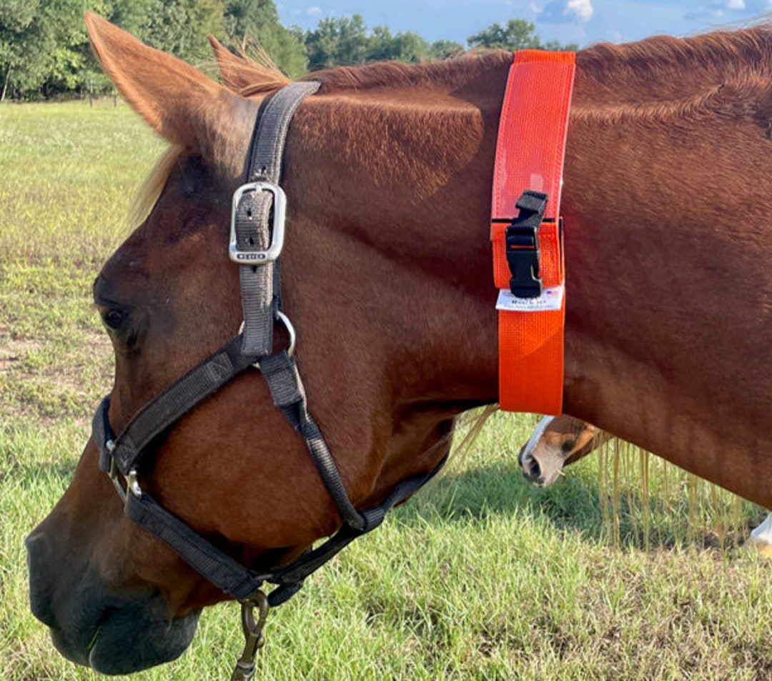 Nonreflective Horse Neck Collar Nonembroidered READ Item Description