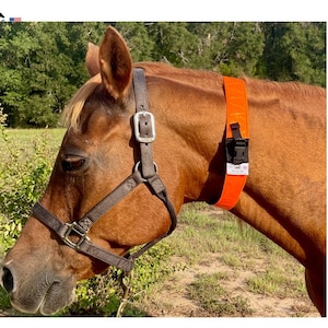 Cuello sin bordado y no reflectante. ** LEA la descripción del artículo para conocer el tamaño y el ajuste **