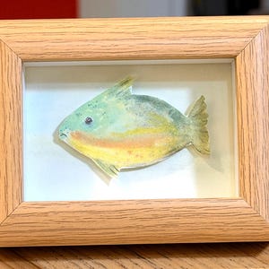May include: A rectangular light-colored wood frame containing a watercolor illustration of a fish. The fish is depicted with a green back, a yellow underbelly, and a small dark eye, set against a plain white background within the frame.