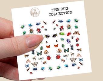 Stickers pour toboggan aquatique The Bug Collection