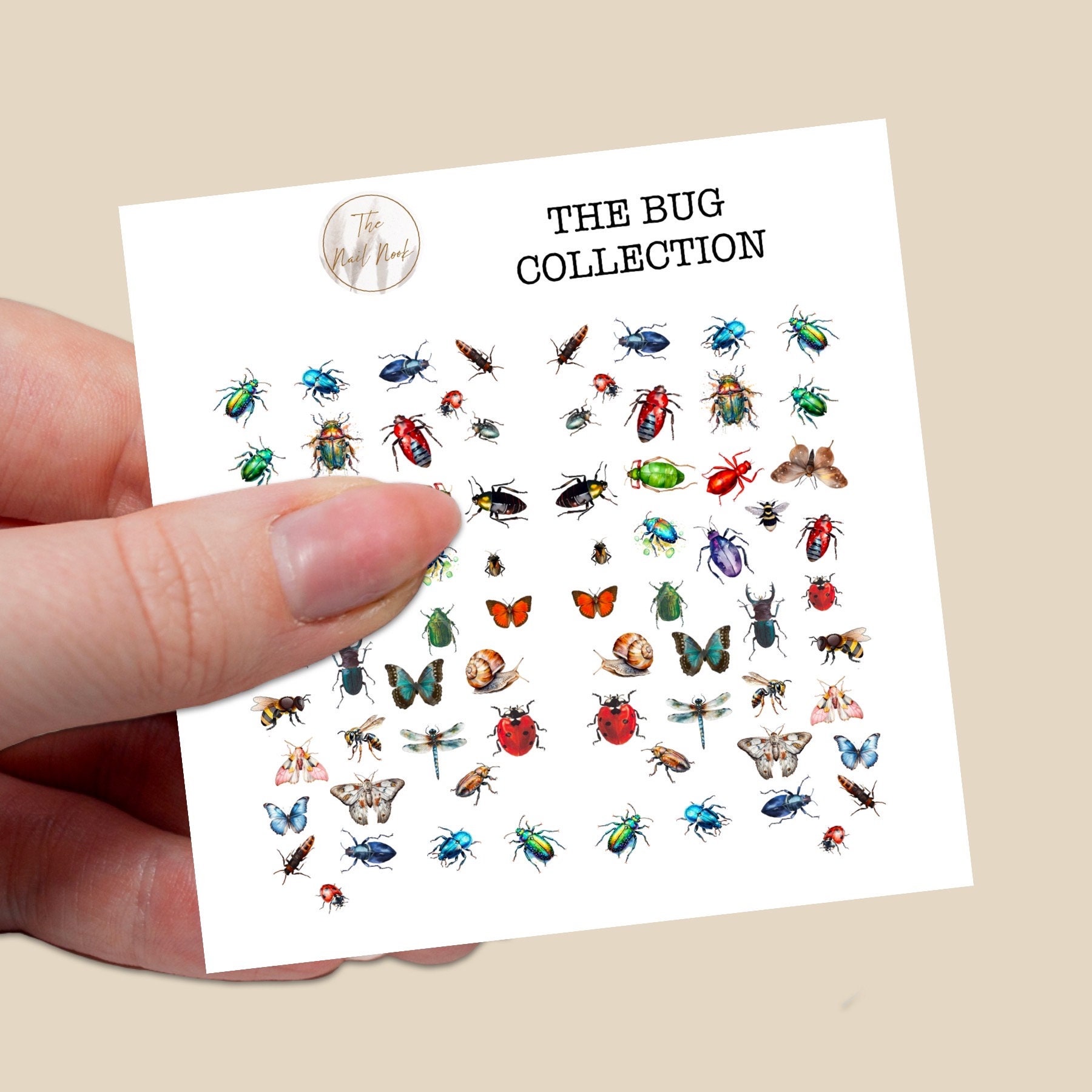 The bug collection water slide nail decals