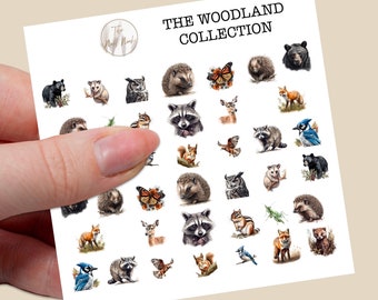 The woodland collection water slide nail decals