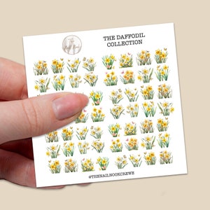 Stickers jonquilles collection florale Pâques printemps toboggan aquatique