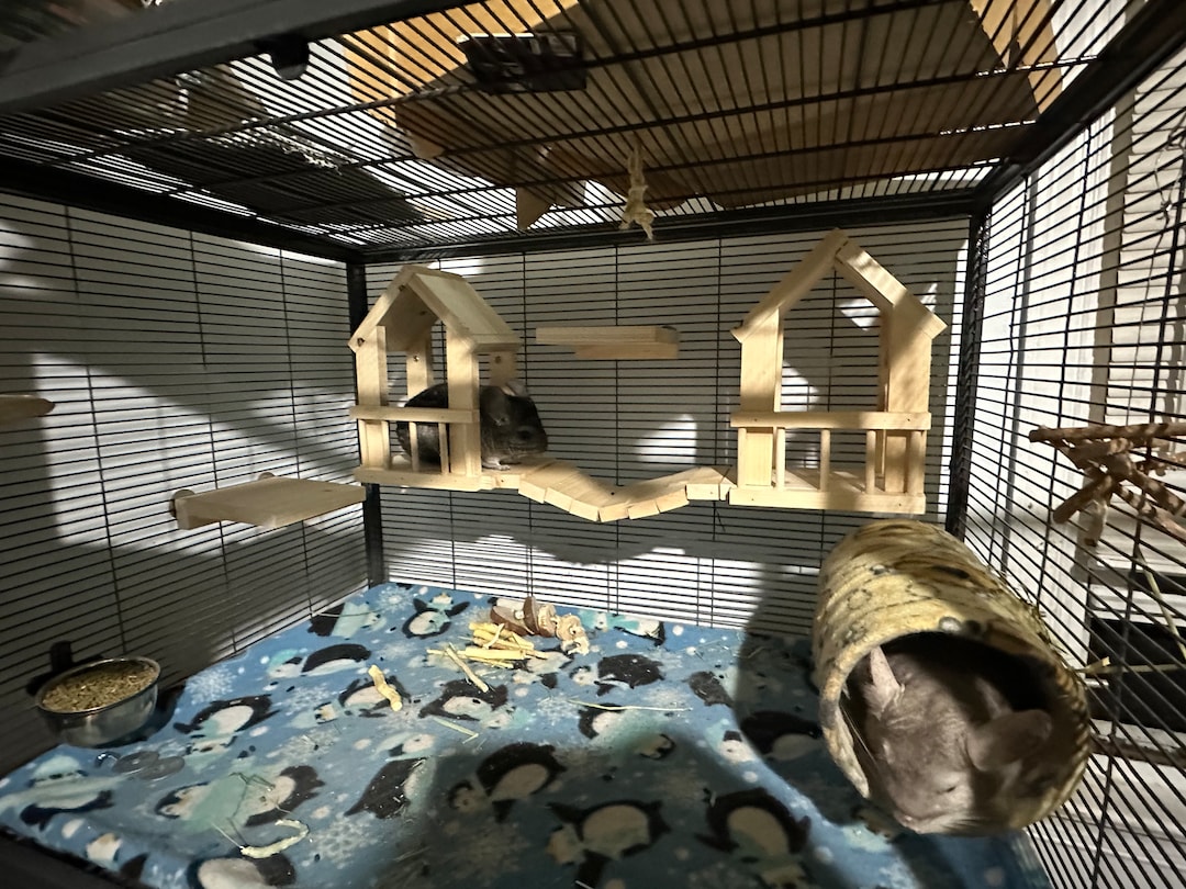 Chinchilla Houses Etsy