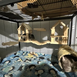 Chinchilla houses