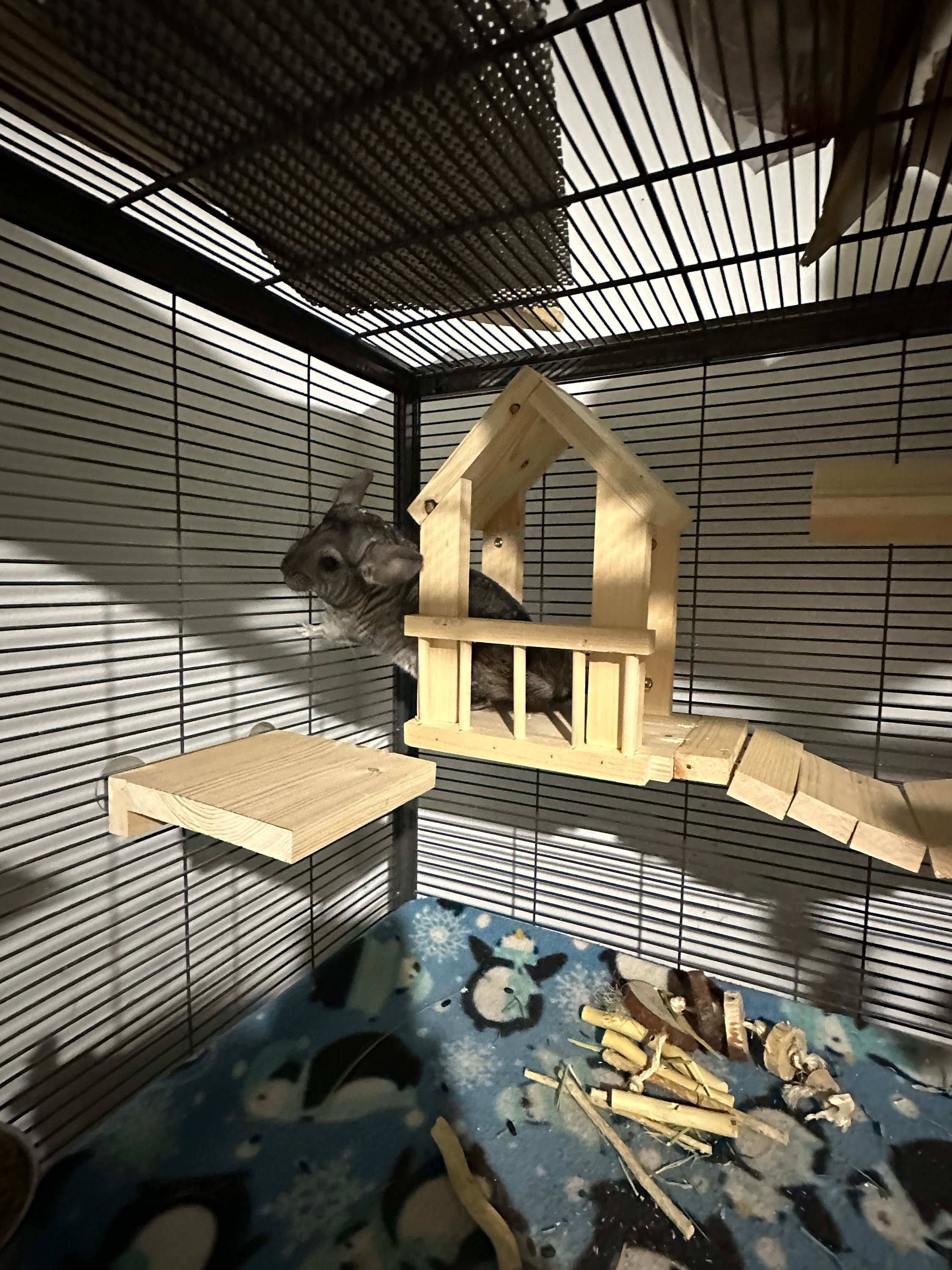 Chinchilla Houses Etsy