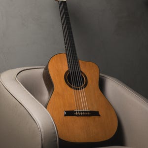 MADE TO ORDER Classical Jazz Guitar Full Solid Woods Brazil Handmade Luthier Zorrer French Polish
