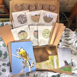 May include: A gardening kit in a cardboard box containing six seed packets with circular floral images, six small peat discs, wooden plant markers, and three greeting cards featuring a blue tit, a robin, and a kingfisher on a patterned tissue paper.