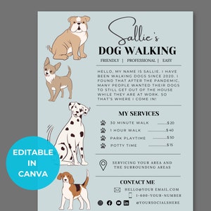 Folleto para paseadores de perros: cuidado de mascotas, paseos de perros, cuidado de mascotas