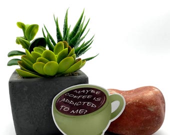 May include: A green coffee cup sticker with the text "MAYBE COFFEE IS ADDICTED TO ME?" is next to a small potted succulent and a reddish-brown stone. The coffee inside the cup is dark brown.