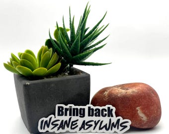 Bring back insane asylums, sarcastic edgy quote statement mental health dark humor adult funny joke gift men women witty joy tumbler sticker