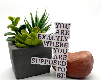 You are exactly who you are supposed to be, impowering unique inspirational motivational quote trendy vibe work ethic cute relatable sticker