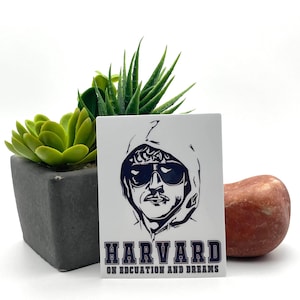 May include: A white rectangular sticker featuring a stylized illustration of a man in a hoodie and sunglasses. The text "HARVARD ON EDUCATION AND DREAMS" is printed in navy blue below the illustration. The sticker is displayed next to a small succulent plant in a square gray pot and a reddish-brown stone.