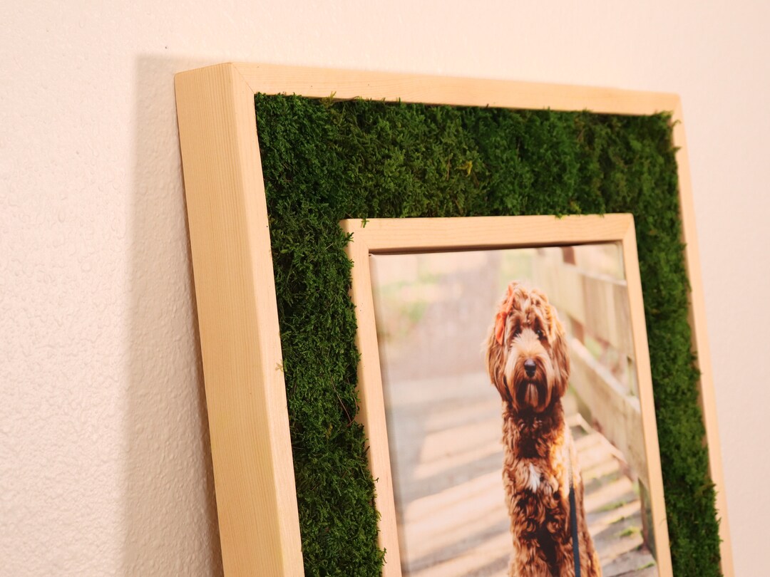 Custom Canvas Frame, Personalized Photo Gift, Wood Frame, Real Moss