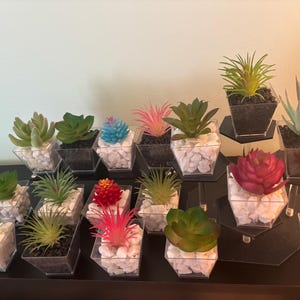 Peut inclure: Assortiment de succulentes artificielles dans des pots géométriques transparents remplis de galets blancs. Les succulentes sont de couleurs variées, dont le vert, le rose, le rouge et le bleu. Certains pots sont sur des présentoirs noirs.