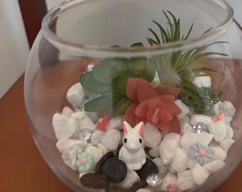 Crea tu propio kit de terrario