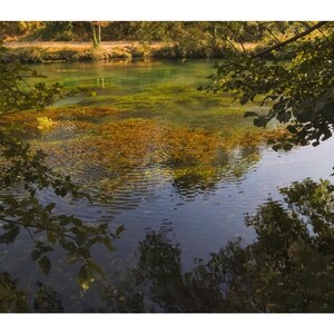 Green Pond . Fine Art Photography . Digital