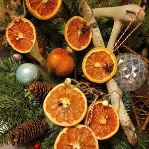 10 Stück Zitrus Verzierungen Natürliche getrocknete Grapefruit Verzierungen Sternanis Nelke Verzierungen Natürliche Verzierungen Natürliche Weihnachtsverzierungen Boho Dekor