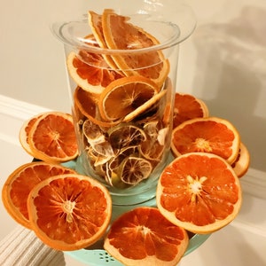 Dried Citrus Slices, Blood Oranges, Limes, Grapefruit, and Lemon, Edible Cocktail or Cake Garnishes, Natural Ornaments, Dried Fruit Garland