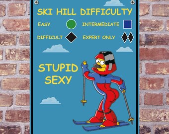 Funny STUPID SEXY Aluminum Warning Sign