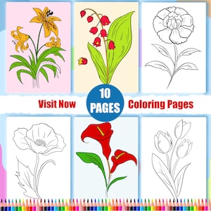 Download 10 Flower Coloring Pages, Flower Painting Activity For Adults And Children,Beginner Spring Coloring Pages,Printable Botanical Pages