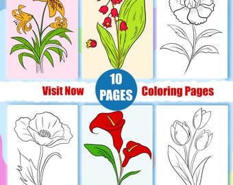 Dibujos de flores para colorear, arte botánico para adultos y niños (descarga digital)