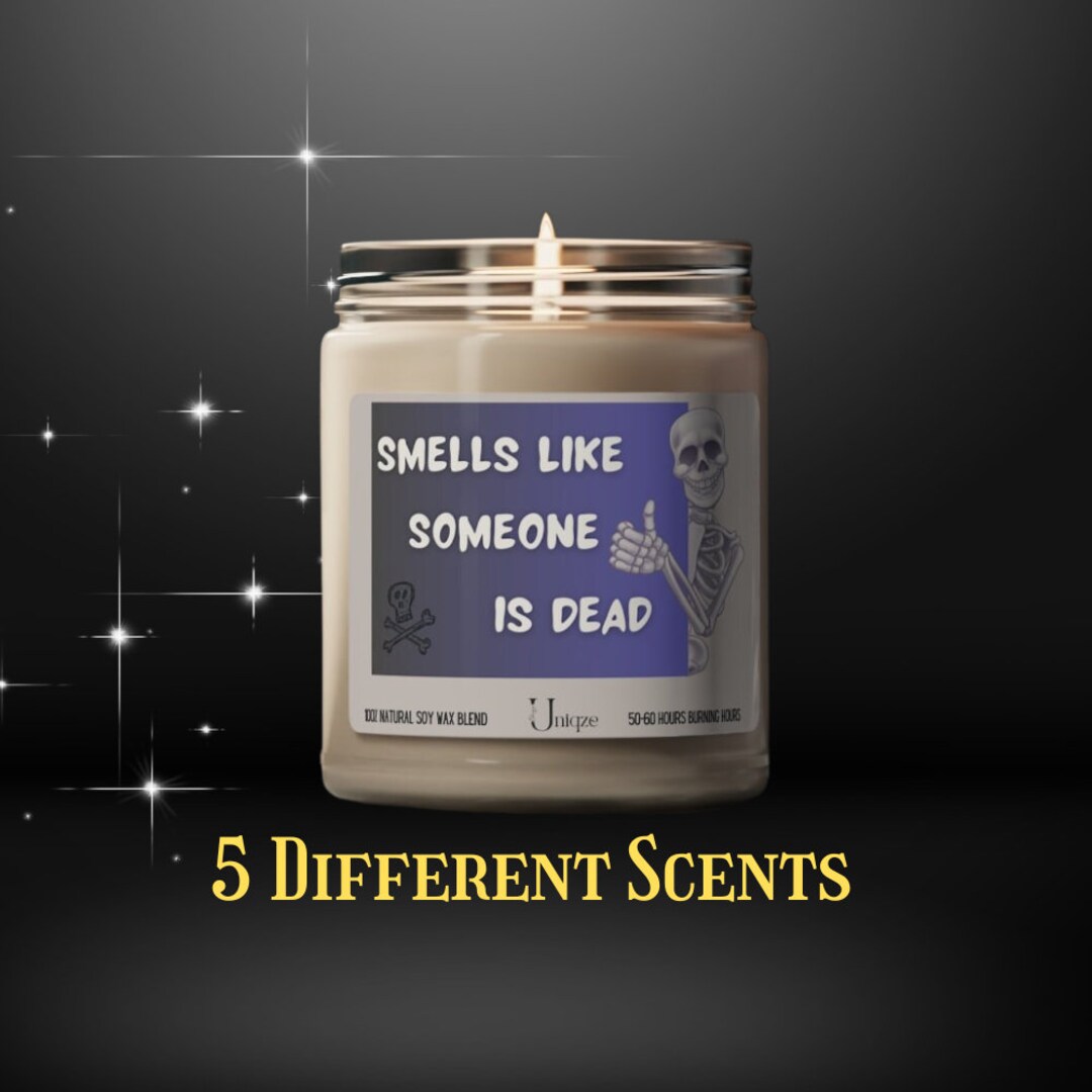 9oz Candle, Smells Like Someone Died in Here, Vegan Candle, Sarcastic