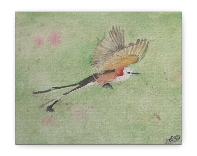 Scissor-Tailed Flycatcher Watercolor Canvas Matte Stretched Wall Art