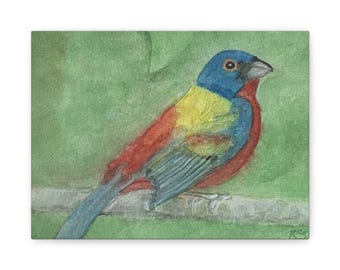 Painted Bunting Watercolor Stretched Canvas, Matte Finish Wall Art