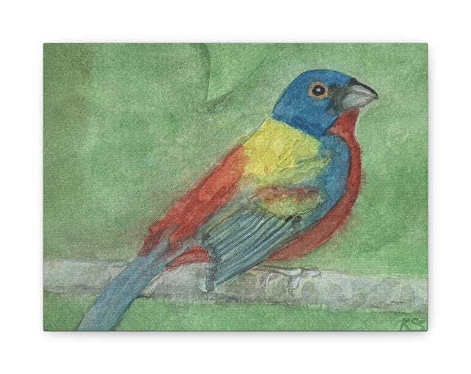 Painted Bunting Watercolor Stretched Canvas, Matte Finish Wall Art