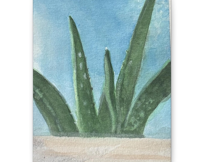 Aloe Watercolor Plant Canvas
