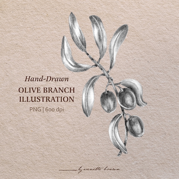 Olive Branch Pencil Illustration | Hand Drawn with Graphite | High Resolution | Commercial License Included