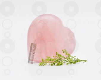 Minimalist Lash Strip Photo: Chic Salon Branding (Digital Download, 3300x4200 px @ 300 DPI)