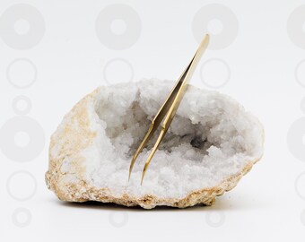 Natural Gold Tweezer Photo Bundle – Hi-Res  @300 DPI – Chic Digital Download for Lash Techs, Salons, and Beauty Branding