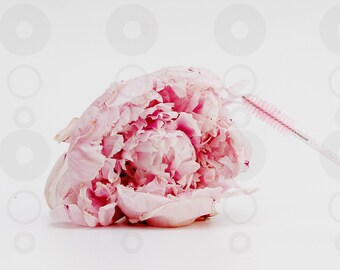 Pink Spoolie Lash Wand Photo – Beauty Branding with Fresh Flowers for Eyelash Extension Marketing